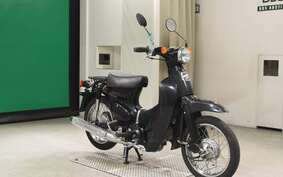 HONDA LITTLE CUB E AA01