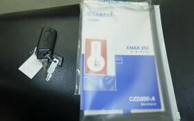 YAMAHA X-MAX 250 A SG42J