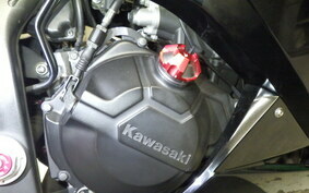 KAWASAKI NINJA 250 ABS EX250L