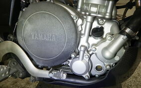 YAMAHA WR250X DG15J