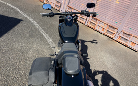 HARLEY FXFBS 2019 YYK