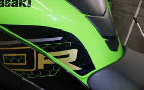 KAWASAKI ZX 10 NINJA ABS 2019 ZXT02E