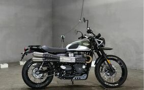 TRIUMPH STREET SCRAMBLER 2020 DAD78