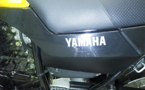 YAMAHA TW225 DG09J