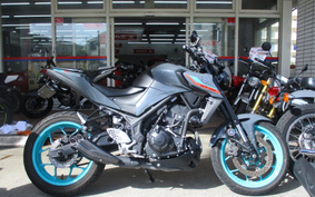 YAMAHA MT-25 RG74J