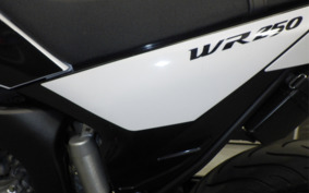 YAMAHA WR250X DG15J