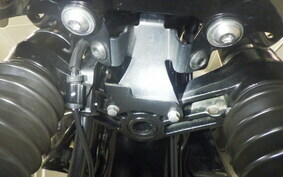 KAWASAKI W800 CAFE 2022 EJ800E