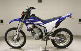 YAMAHA WR250R DG15J