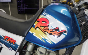 YAMAHA TT250R RAID 4GY