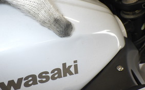 KAWASAKI Z250 ER250C