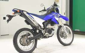 YAMAHA WR250R