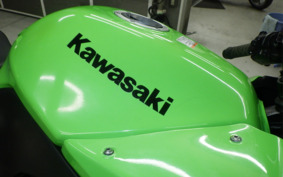 KAWASAKI NINJA 250R EX250K