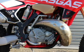 OTHER ガスガスEC250R