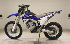 YAMAHA WR250R DG15J