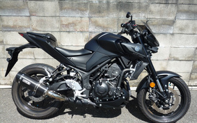 YAMAHA MT-25 RG74J