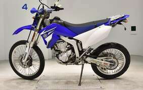 YAMAHA WR250R DG15J