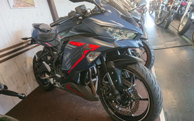 KAWASAKI NINJA ZX 25 R SE ZX250E