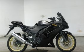 KAWASAKI NINJA 250R 2010 EX250K