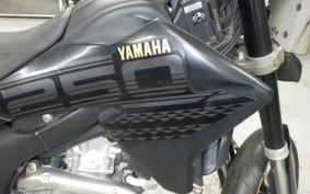 YAMAHA WR250X DG15J