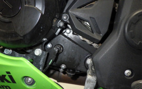 KAWASAKI NINJA 250 SL