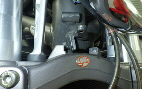 OTHER CAGIVA RAPTOR1000 2003