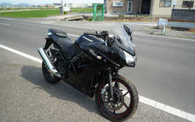 KAWASAKI NINJA 250R 2009 EX250K