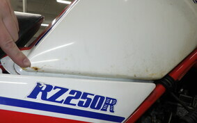 YAMAHA RZ250R 29L