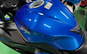 KAWASAKI Ninja 250 SE EX250L