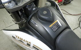 YAMAHA WR250X DG15J