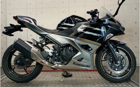 KAWASAKI NINJA 250 EX250P