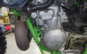 KAWASAKI KDX220SR DX220B