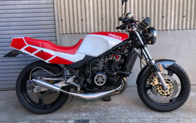 YAMAHA RZ250R 29L