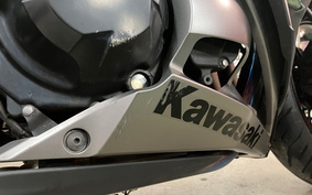 KAWASAKI NINJA 1000 2018 ZXT00W