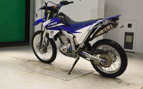 YAMAHA WR250R DG15J