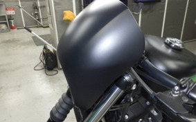 HARLEY XL1200NS 2021