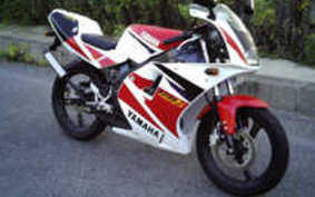 YAMAHA TZR50R Cell 4EU