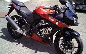 KAWASAKI NINJA 250R 2010 EX250K