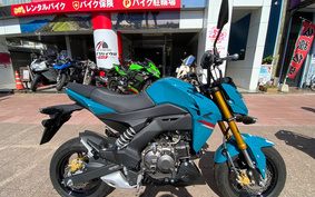 KAWASAKI Z125 BR125H