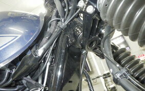 KAWASAKI W800 2022 EJ800E