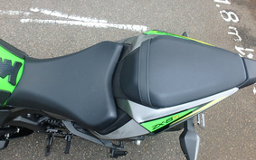 KAWASAKI NINJA ZX-6R 2019 ZX636G