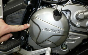 SUZUKI DL650 ( V-Strom 650 ) 2020 C733A