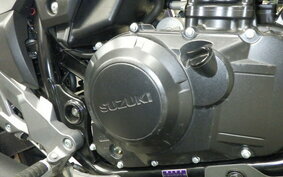 SUZUKI V-STROM 250