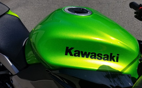 KAWASAKI NINJA 1000 2013 ZXCG16