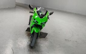 KAWASAKI NINJA 250R EX250K