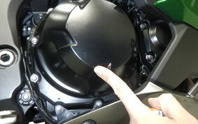 KAWASAKI NINJA 1000 SX 2020 ZXT02K