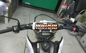 YAMAHA WR250R DG15J