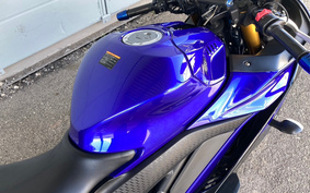 YAMAHA YZF-YZF-R3 ABS 2019 RH13J