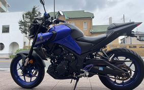 YAMAHA MT-25 ABS RG43J