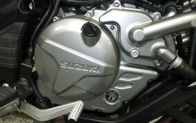 SUZUKI DL650 ( V-Strom 650 ) 2020 C733A