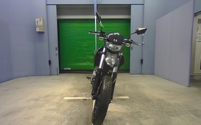 KAWASAKI KLX125D TRACKER X 2008 LX250V